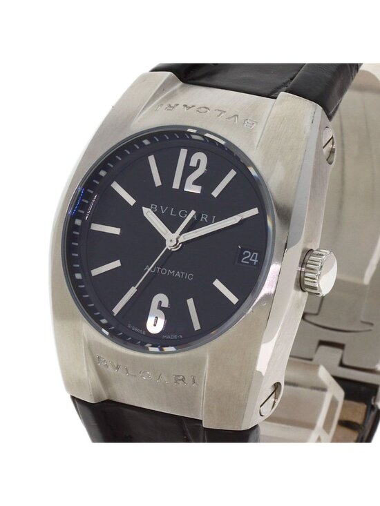 Bvlgari Ergon Watch SS Leather main image 13